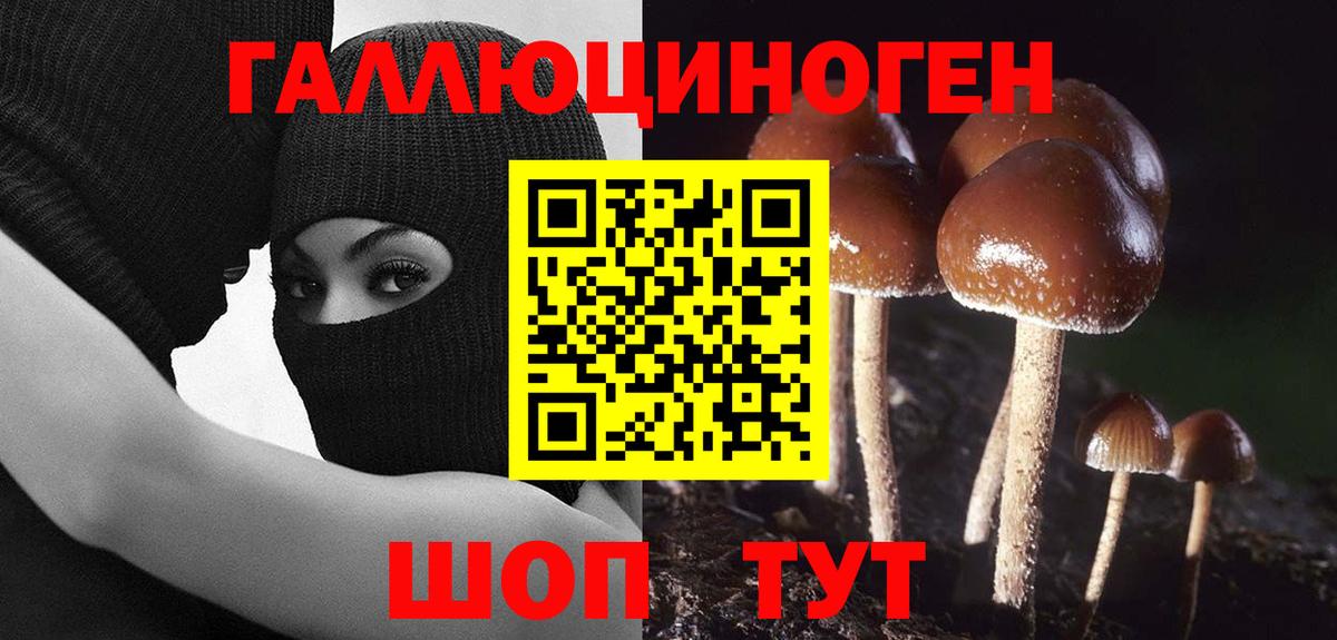 Псилоцибиновые грибы MAGIC MUSHROOMS  Вход с VPN  Волгодонск 