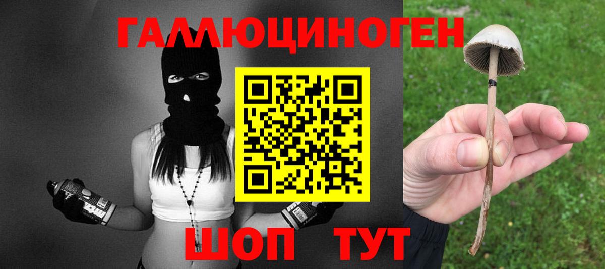 Галлюциногенные грибы мицелий Волгодонск
